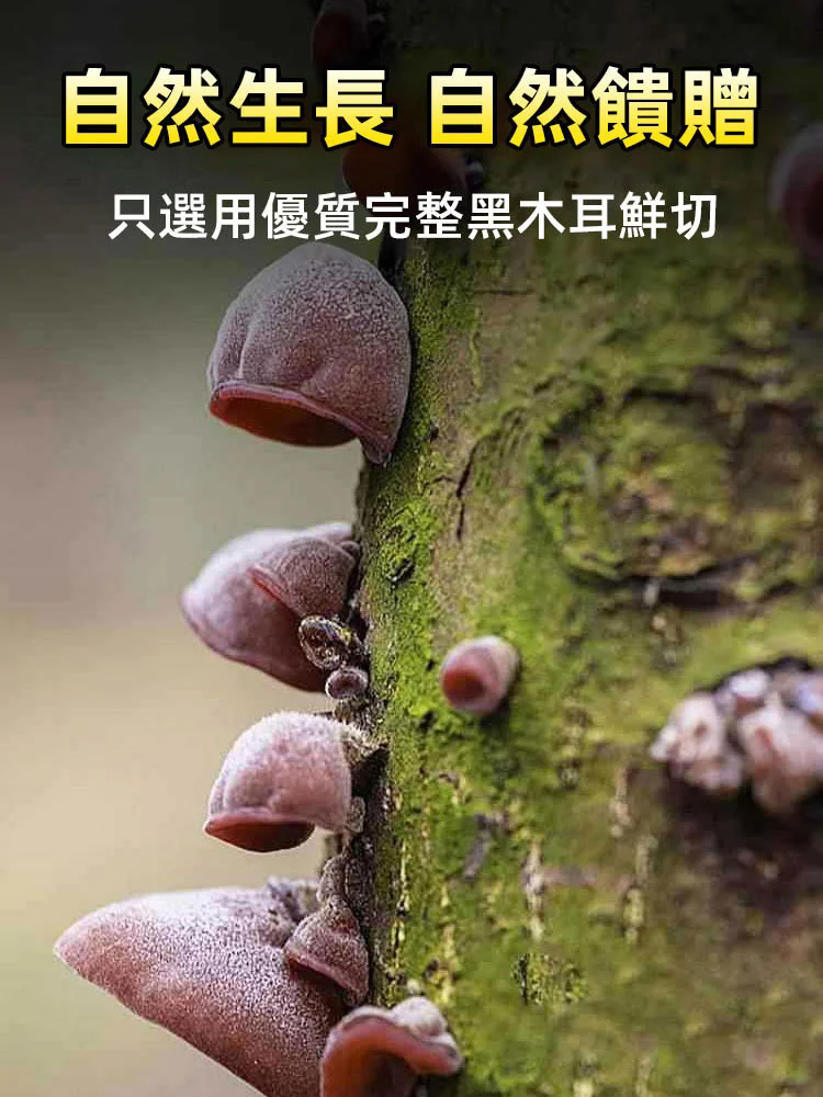 無雜質白背毛木耳絲