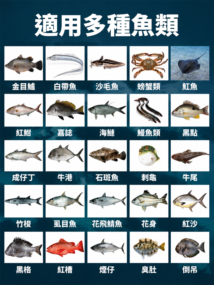 釣魚上岸釣魚神器