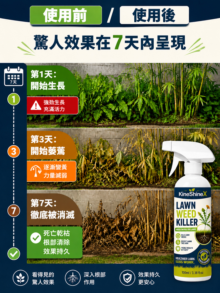 【庭院除草省心省力】居家雜草清除劑