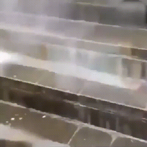 1624701946659091.gif