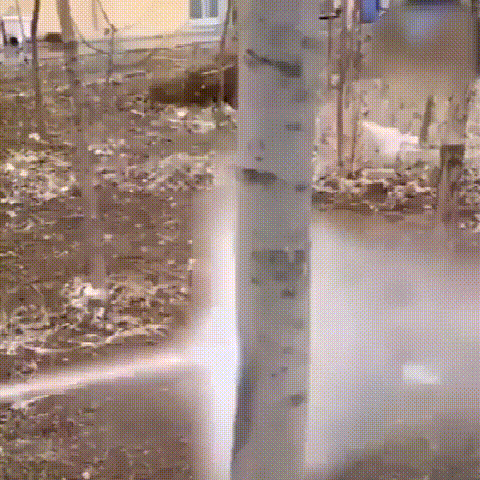 1624701924818920.gif