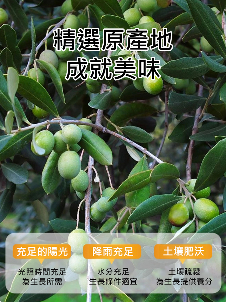 甘草橄欖果