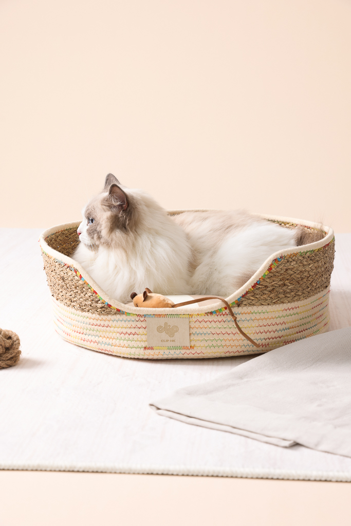 Artisan Cove Pet Cave, Rainbow