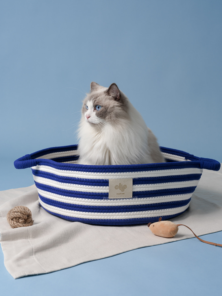 Serene Enclave Pet Cave