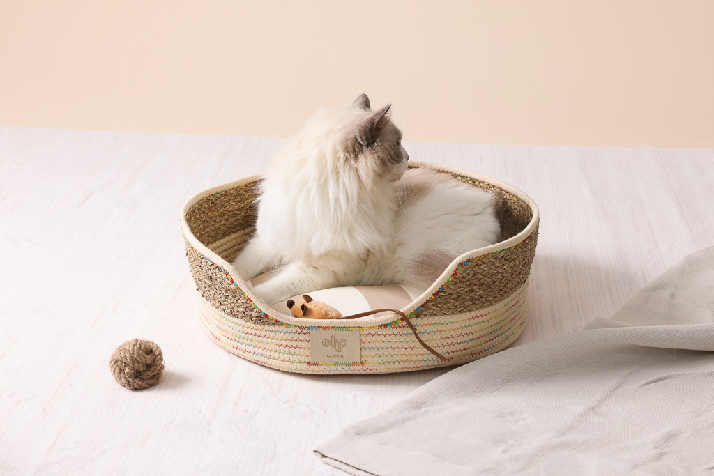 Artisan Cove Pet Cave, Rainbow