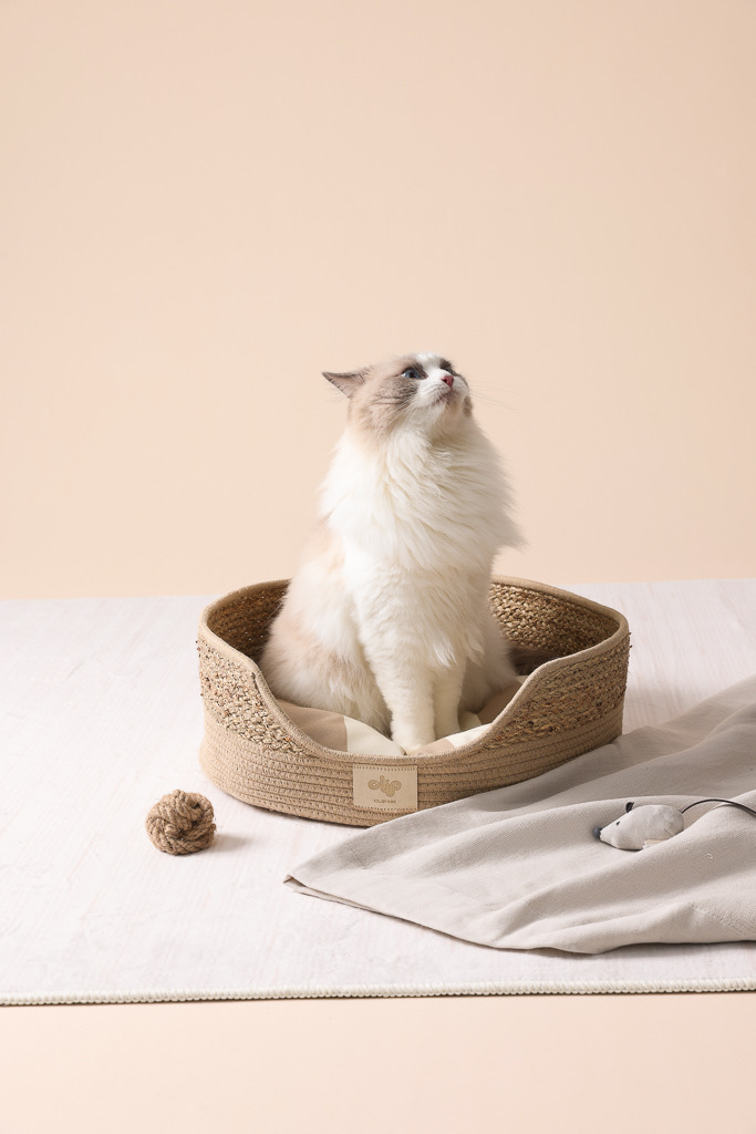 Artisan Cove Pet Cave, Camel