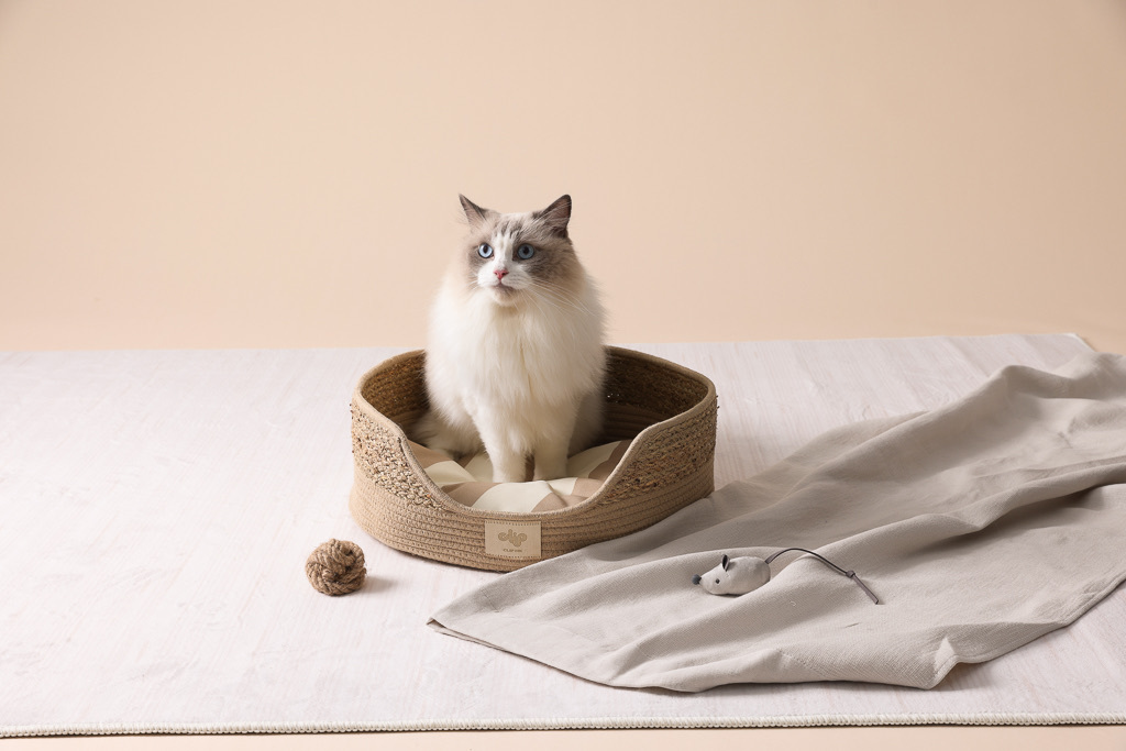 Artisan Cove Pet Cave, Camel