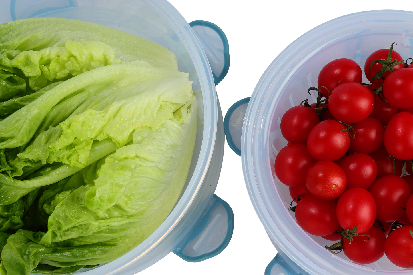 ClipFresh Food Container