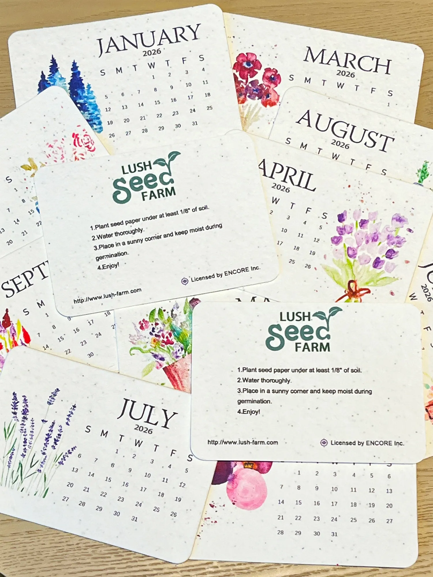 ✨New Arrivals 49% OFF Today🌱Eco-Friendly Plantable Love Seed Calendar 2026