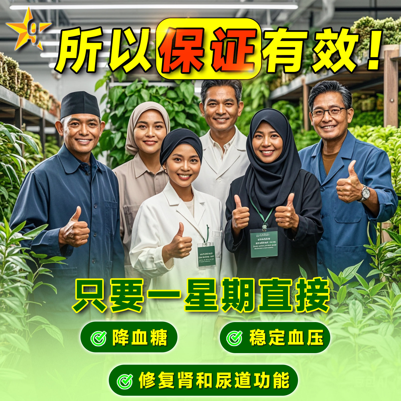 ✅Halal Approved by KKM ✅马来西亚卫生部认证* 9星猫鬚茶 (60茶包) 9 Star Tea Misai Kucing (60 tea bags)