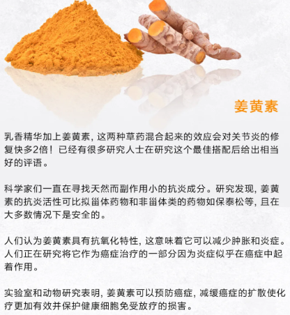 Flexy3 Joint Pain Supplement 关节王 消炎补骨补软骨关节炎 Flexy3