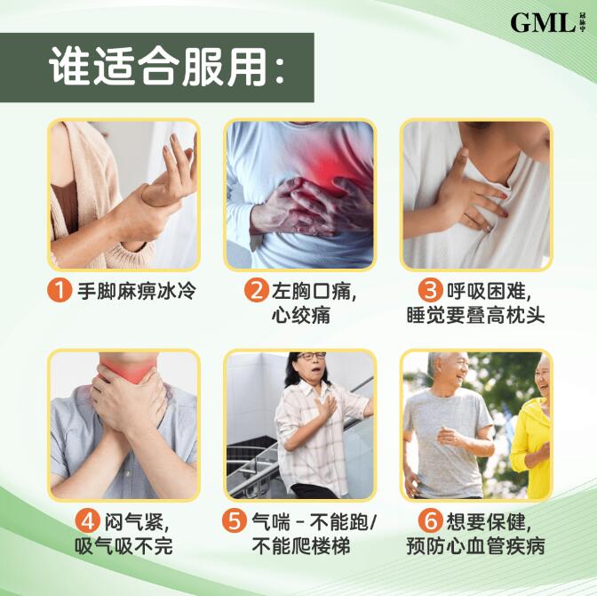 YS Ship GML Guan Mai Ling Pills 冠脉宁 纯正中草药丸 (30 Packs)