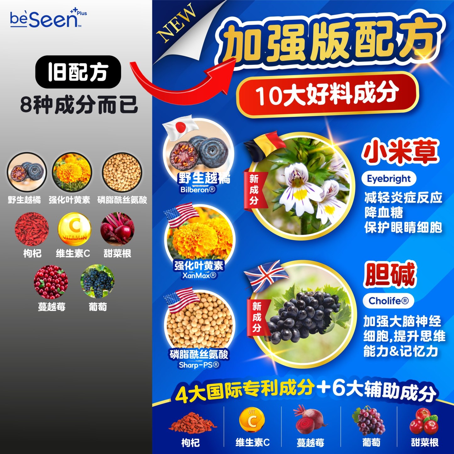 BeFree BeSeen Plus Vitamin Eye-Brain Booster (30 Sachets)