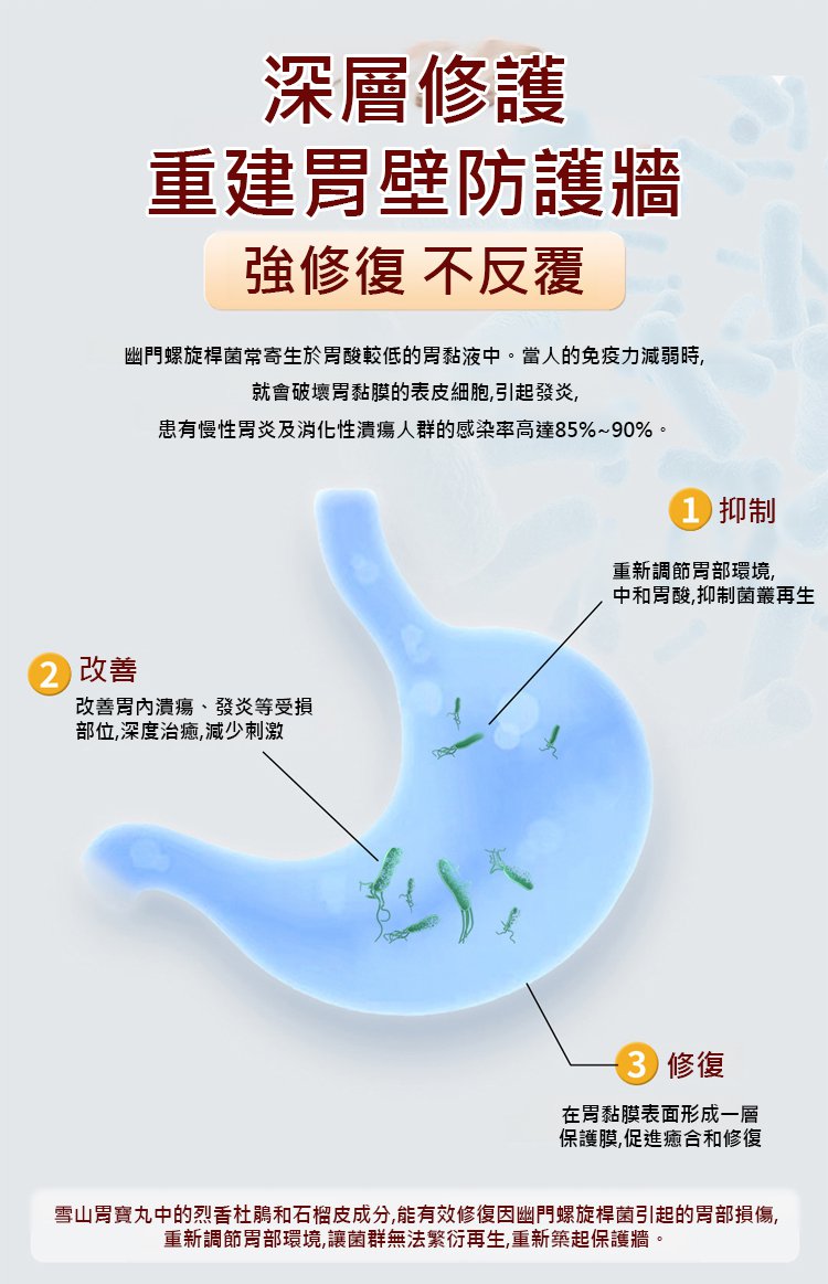 翻译件-HFH-雪山胃宝丸-1337971-系统_08.jpg