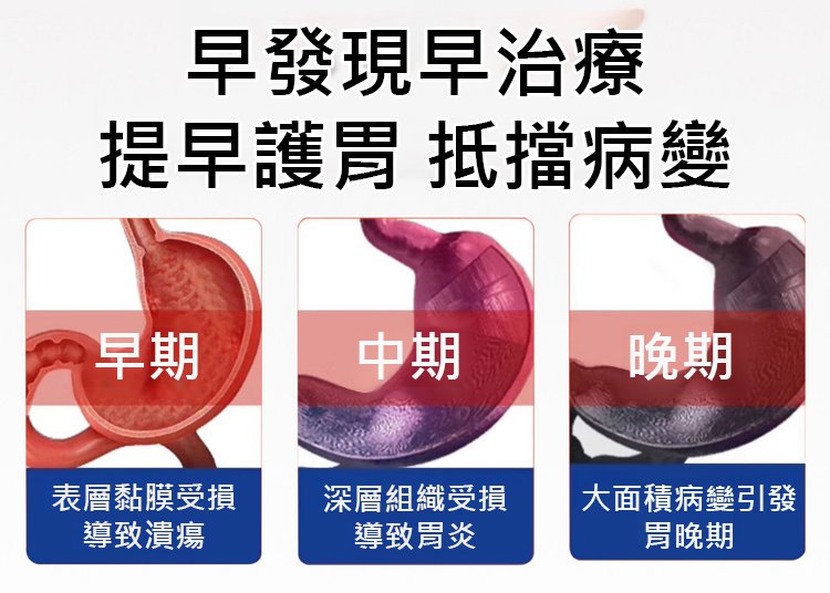 翻译件-HFH-雪山胃宝丸-1337971-系统_04.jpg