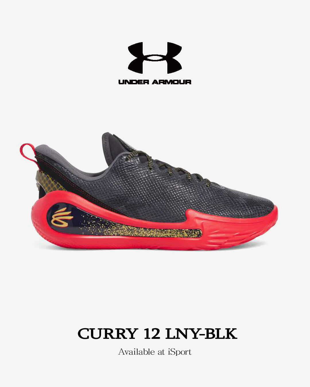 CURRY 12系列