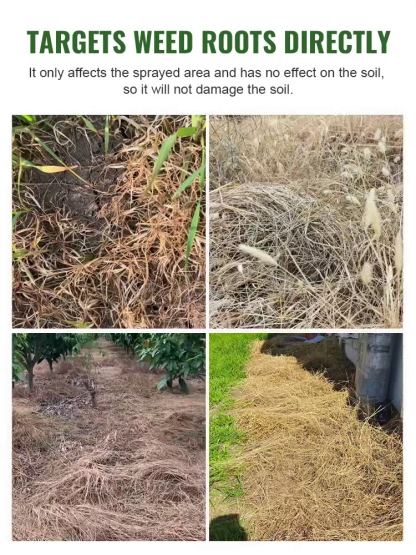 🌿🧴 Professional Farm & Garden Weed Killer Agent, spray in the morning and all weeds die off in the afternoon ⏰. It takes effect super fast within 3 hours, long-lasting weed control for a full year 📅. Stable medicinal effect lasts up to 5 years✅.