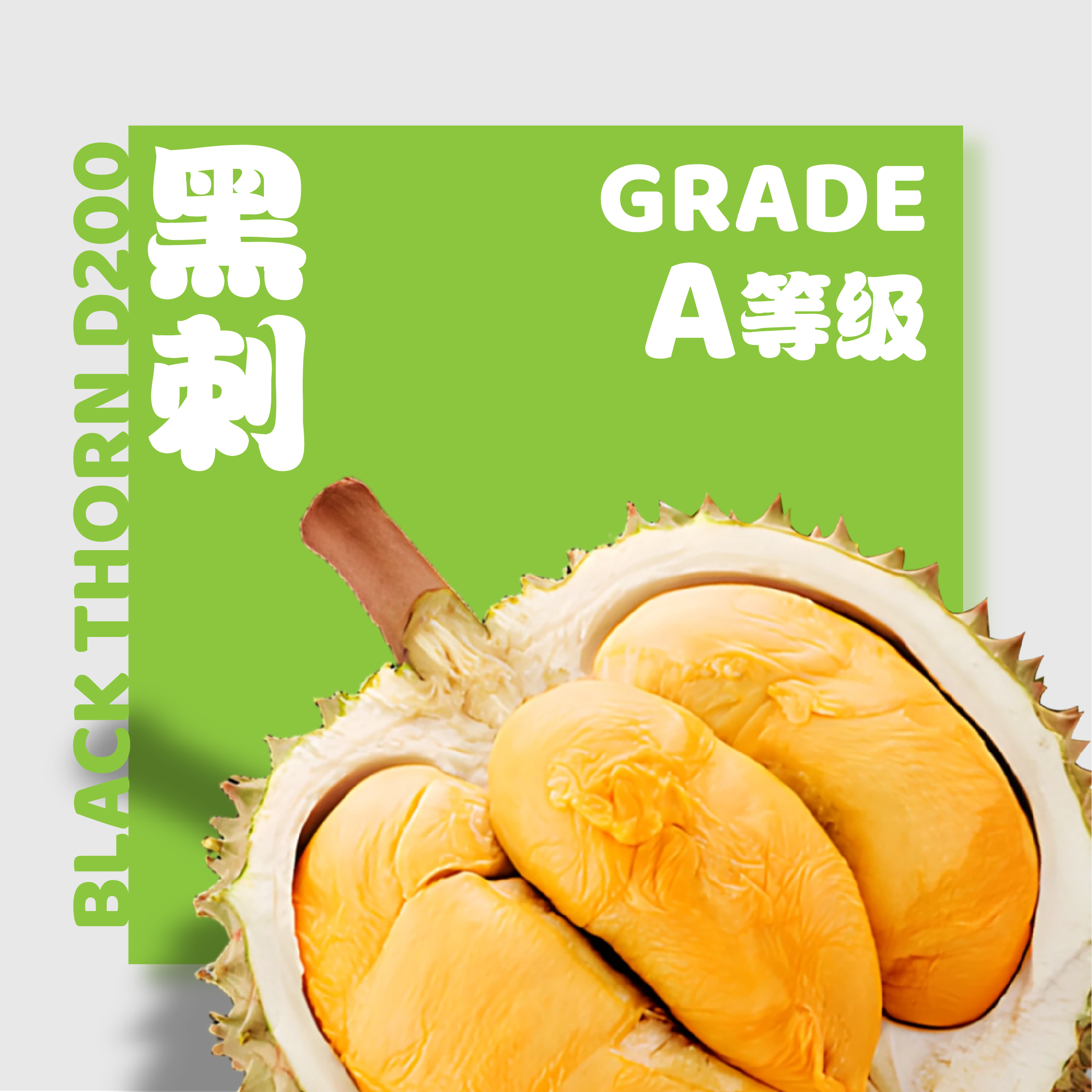 D200 瞬冻黑刺 ◦ Freeze Black Thorn【一组10颗】