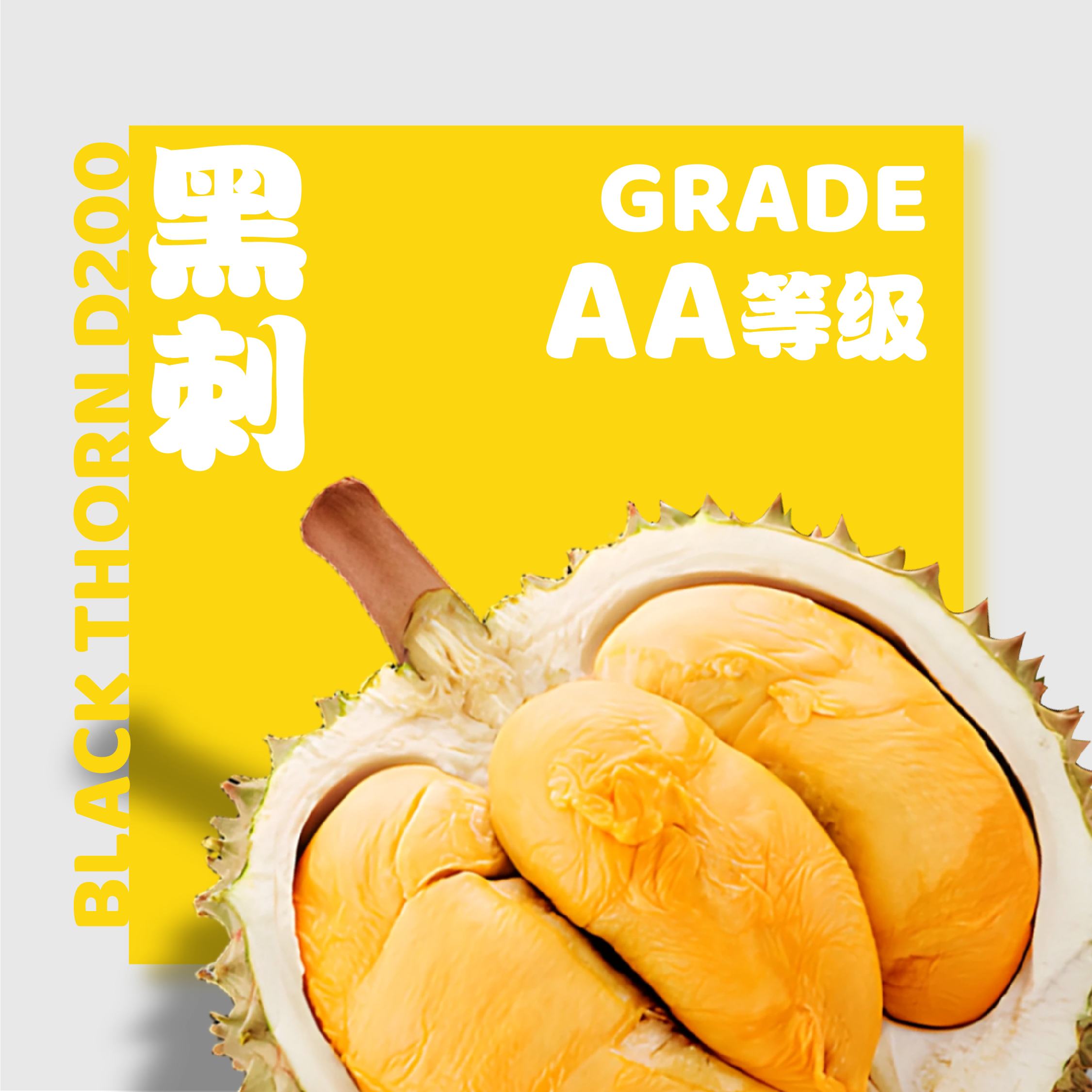 D200 瞬冻黑刺 ◦ Freeze Black Thorn【一组10颗】