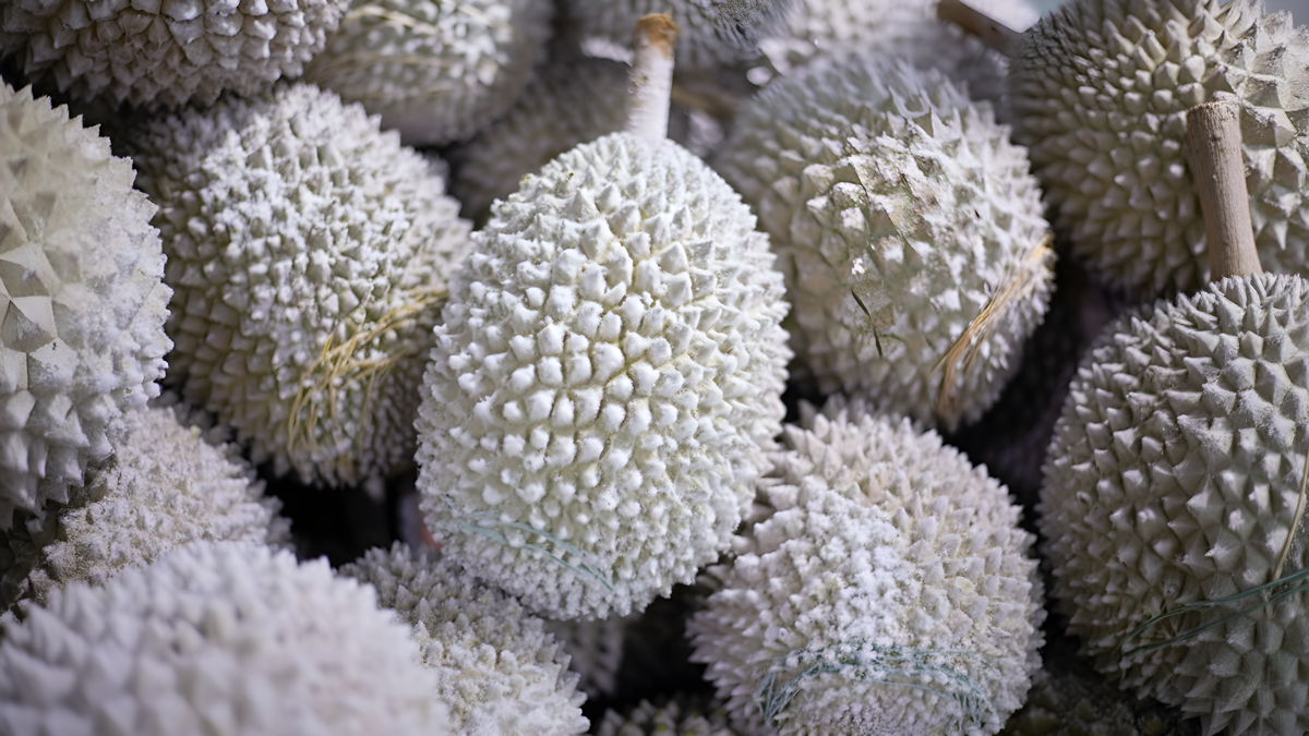 Instant-Freeze Durian