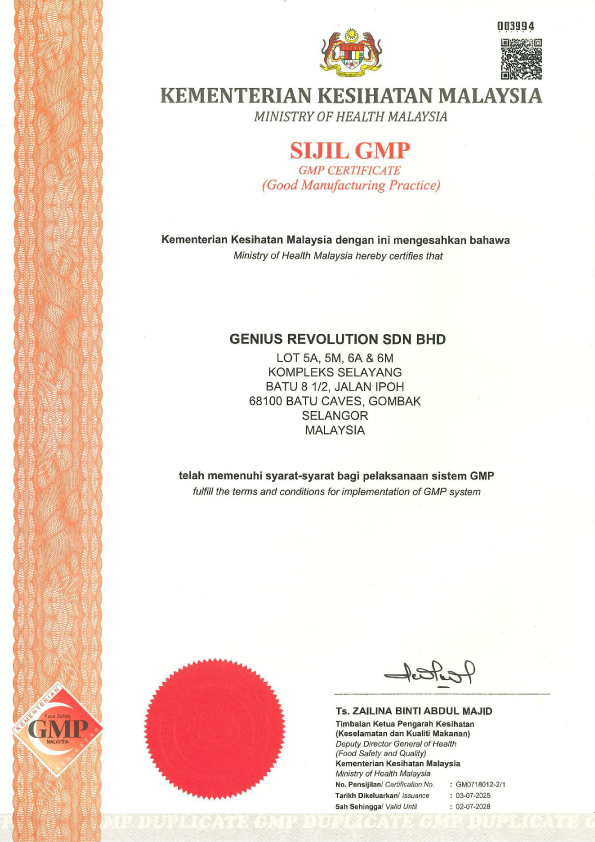 GMP Certificate 2025-2028