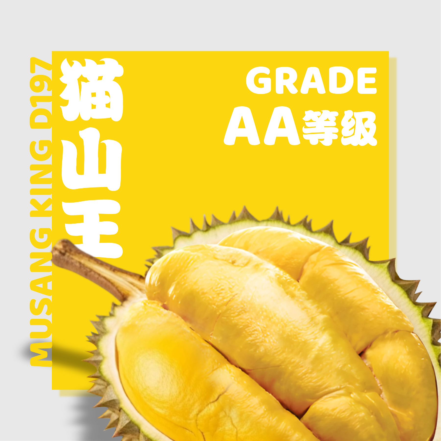 D197 猫山王 ◦ Musang King | Fresh Durian from Malaysia