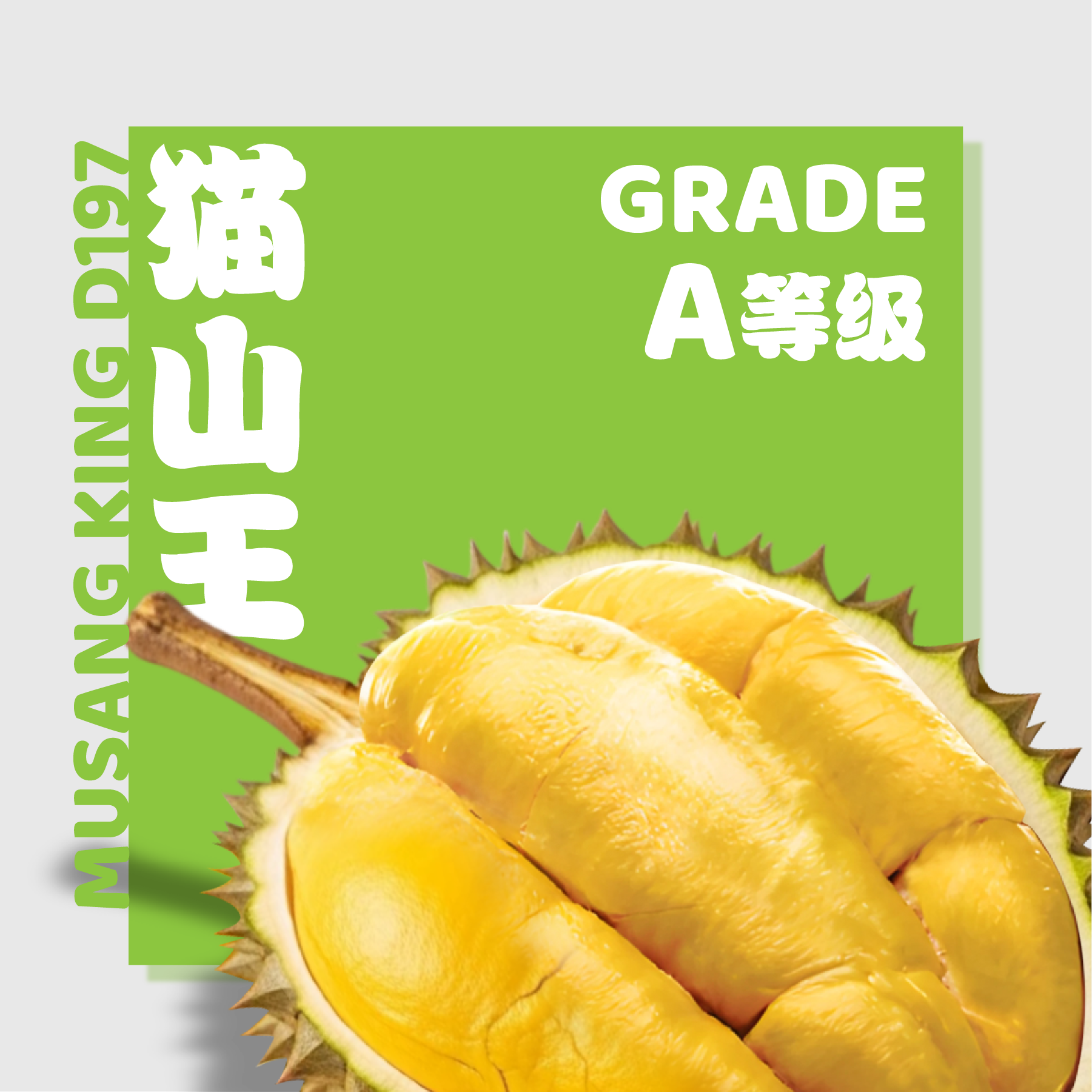 D197 猫山王 ◦ Musang King