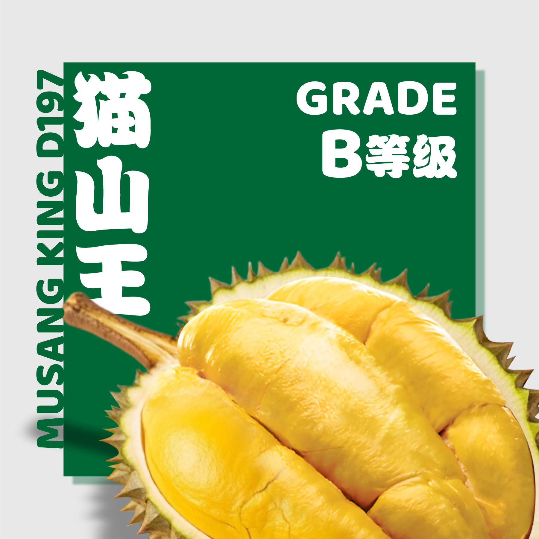 D197 猫山王 ◦ Musang King