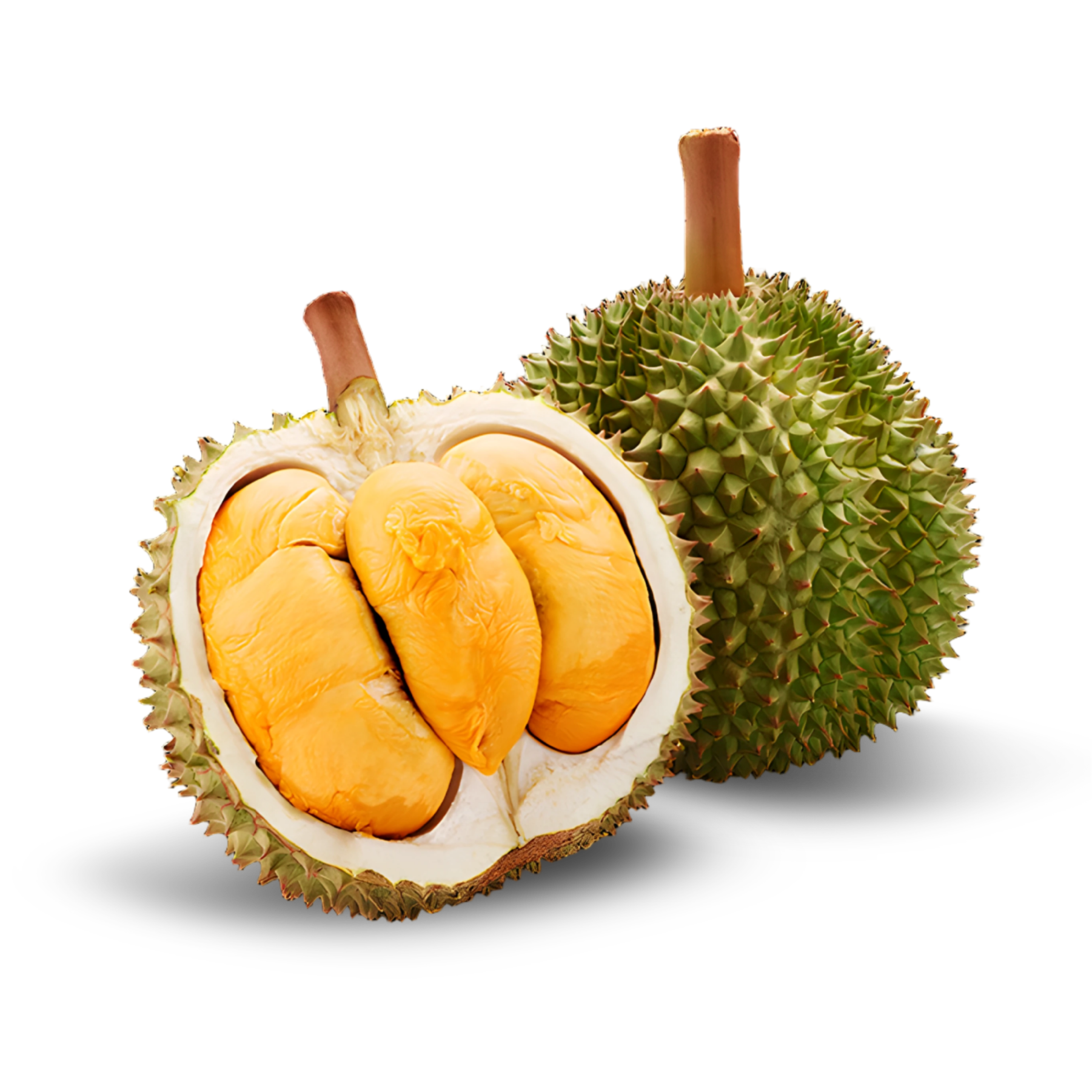 D200 黑刺 ◦ Black Thorn