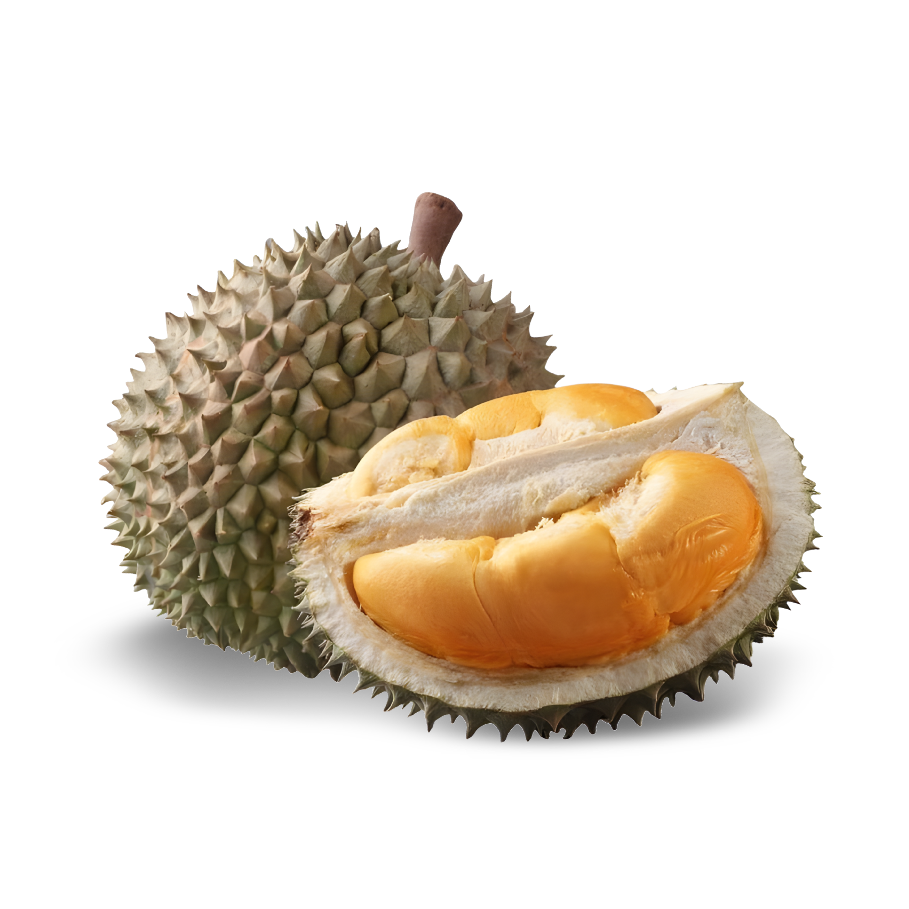 D200 黑刺 ◦ Black Thorn