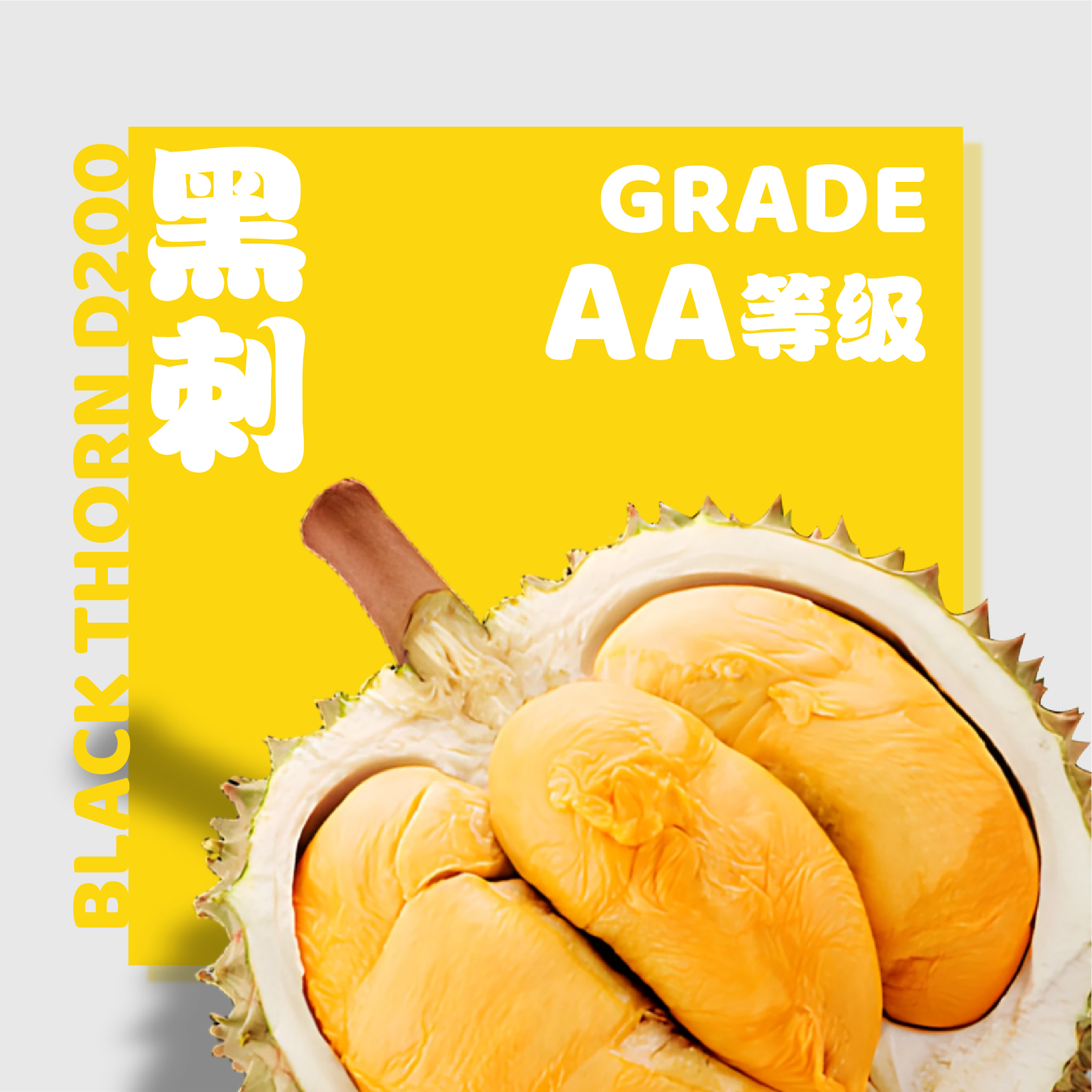 D200 黑刺 ◦ Black Thorn