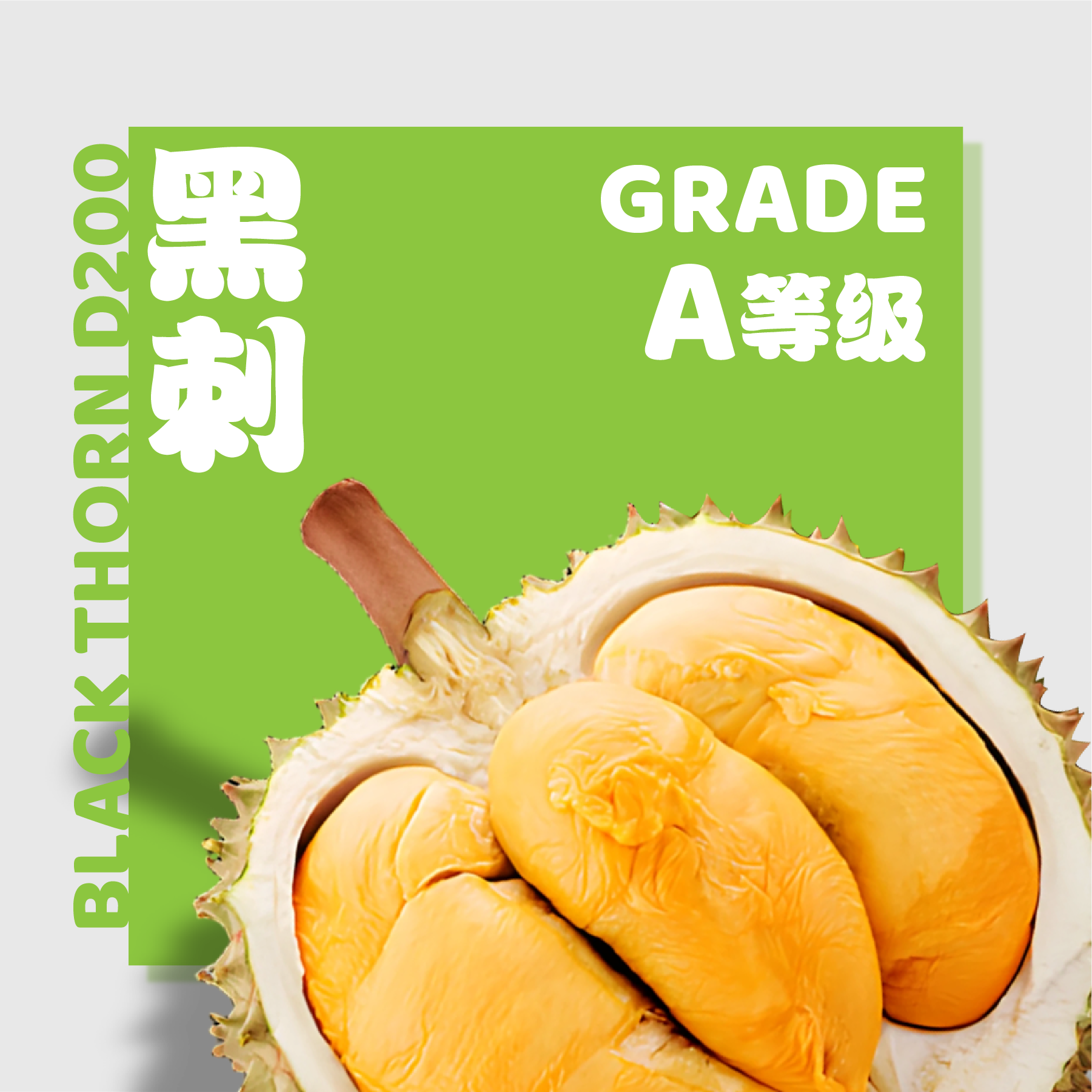 D200 黑刺 ◦ Black Thorn