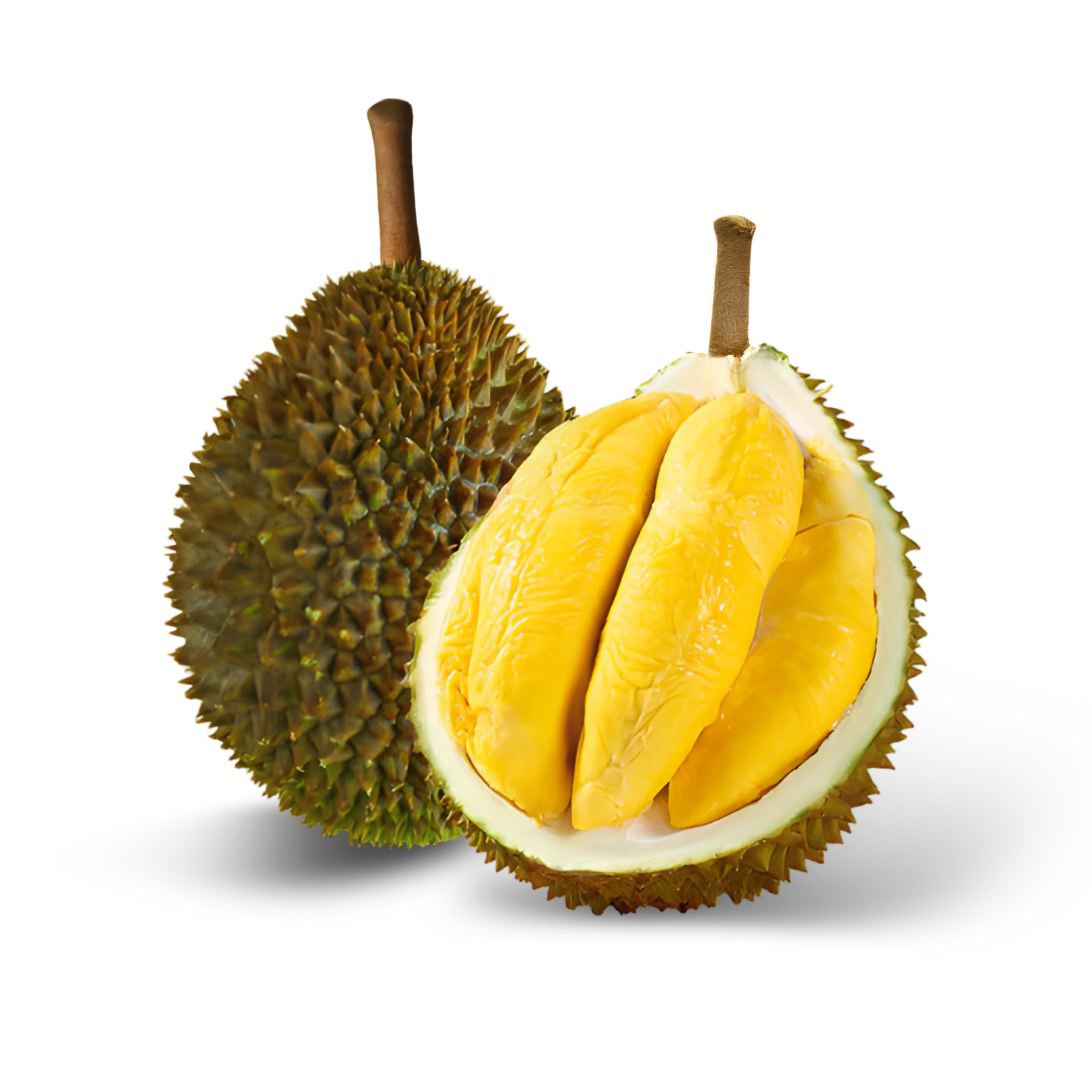 D175 红虾 ◦ Red Prawn