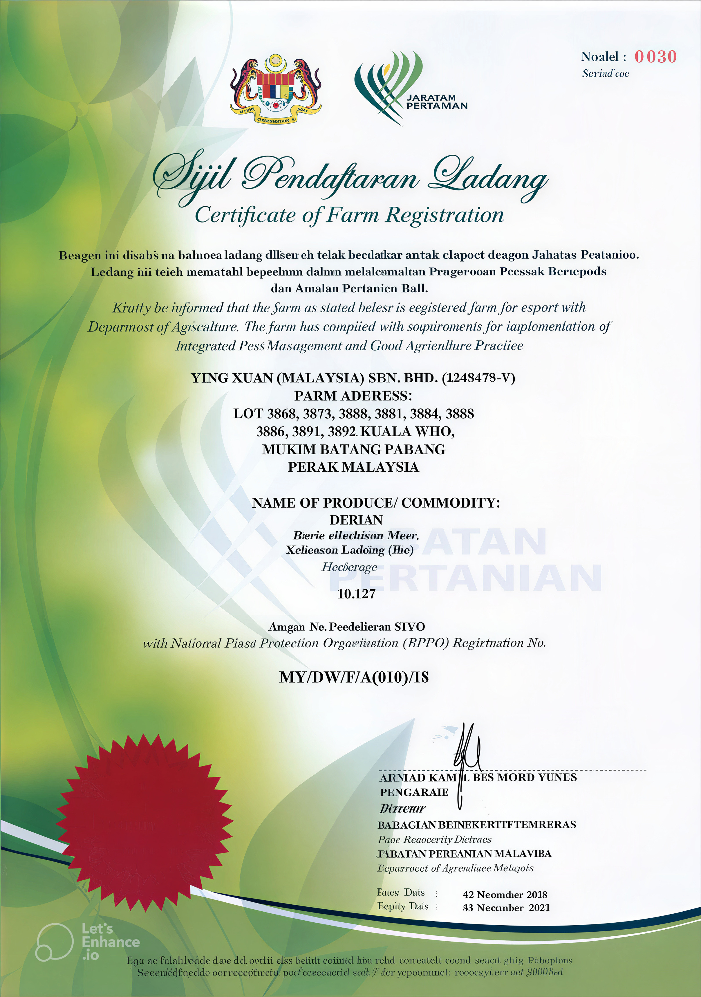 Registered Durian Farm 08