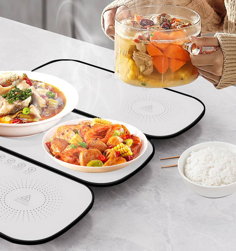 New smart thermostatic heating food warmer.