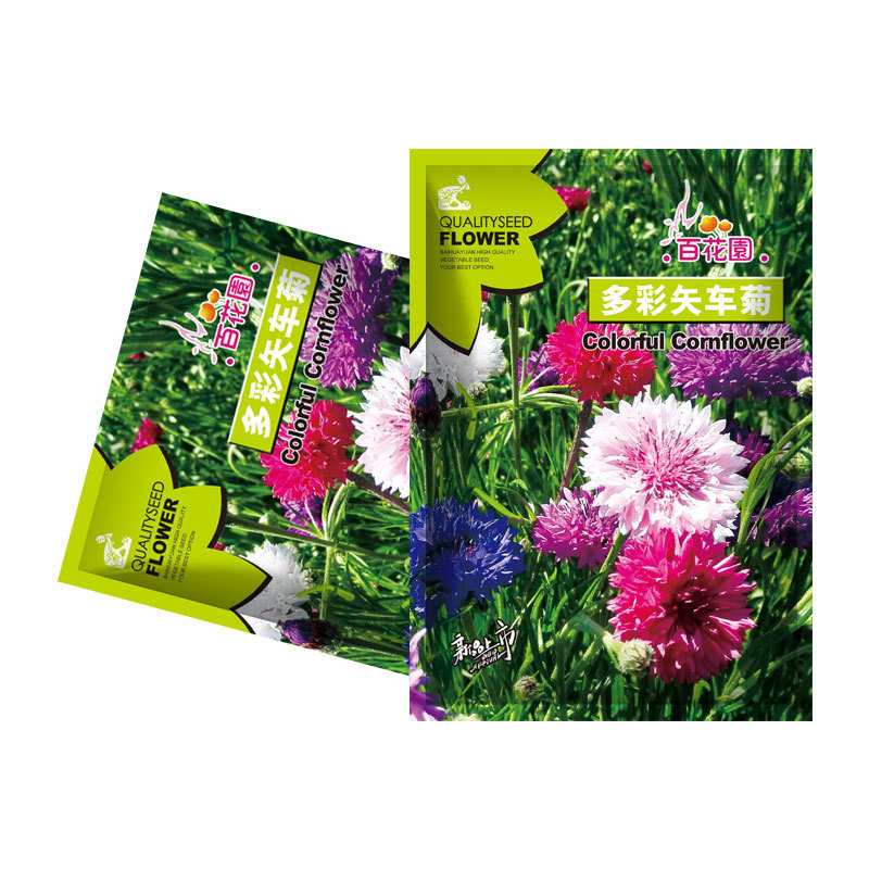 Premium Mixed Centaury Seeds: Multi-Color Cornflower Seeds for Vibrant Garden Blooms - Easy-to-Grow Wildflower (Cottage Garden Style)