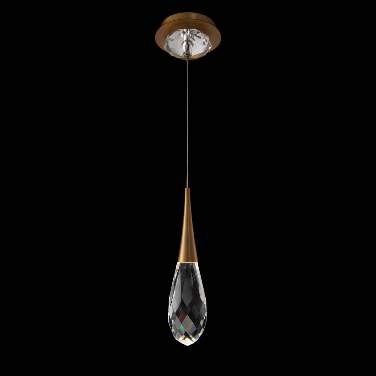 LightingSide Hibiscus BPD21213 Mini Pendant