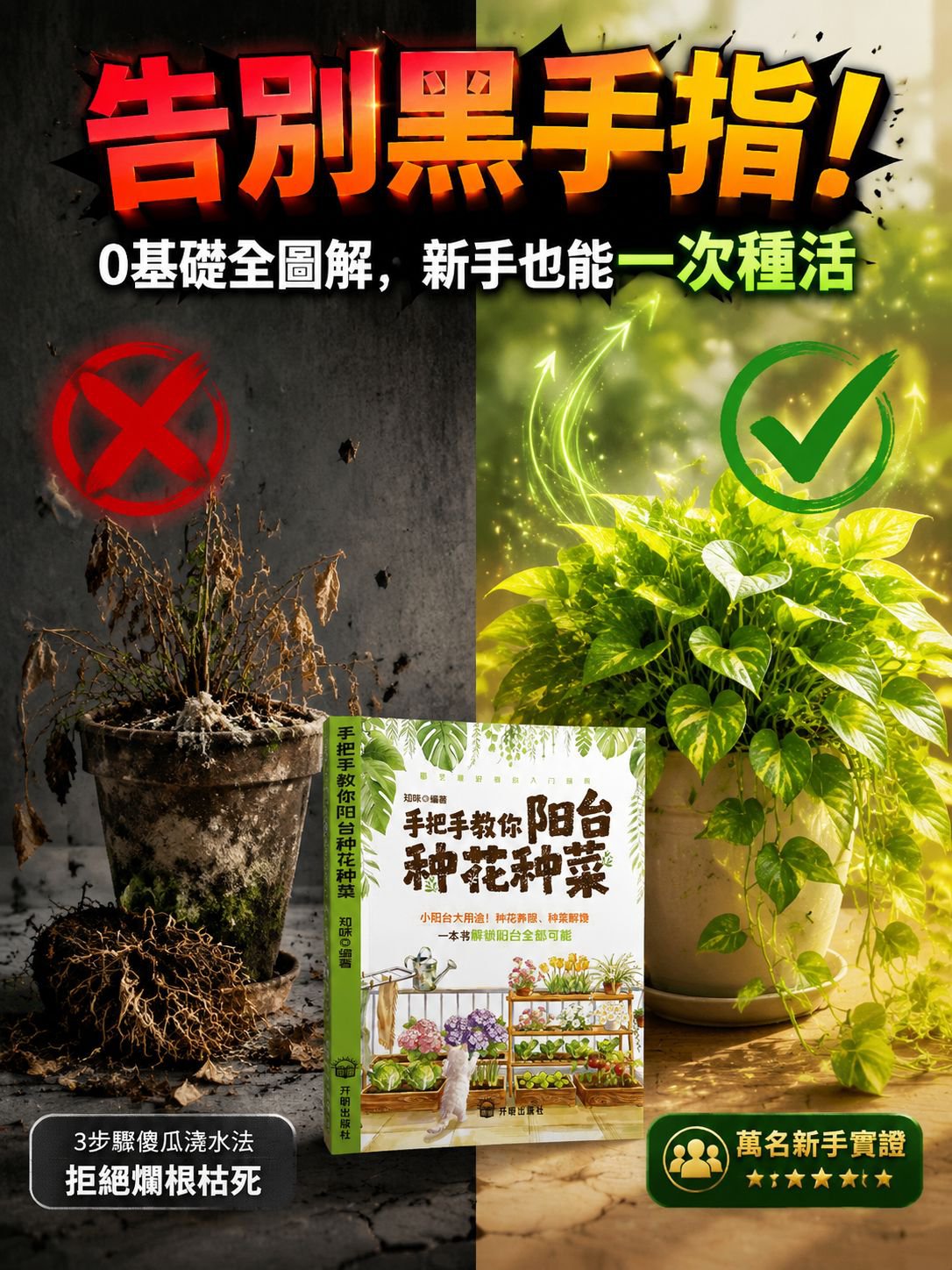 6a3cfb3a6404f.jpg