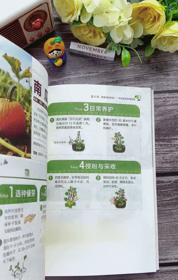f5d1164c521109f441985b43589572e0.gif