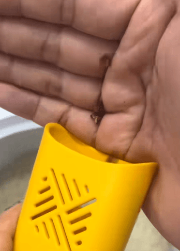 9571832c25de41959758d573b7e313ca.gif