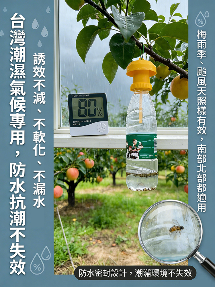果蠅針蜂引誘劑