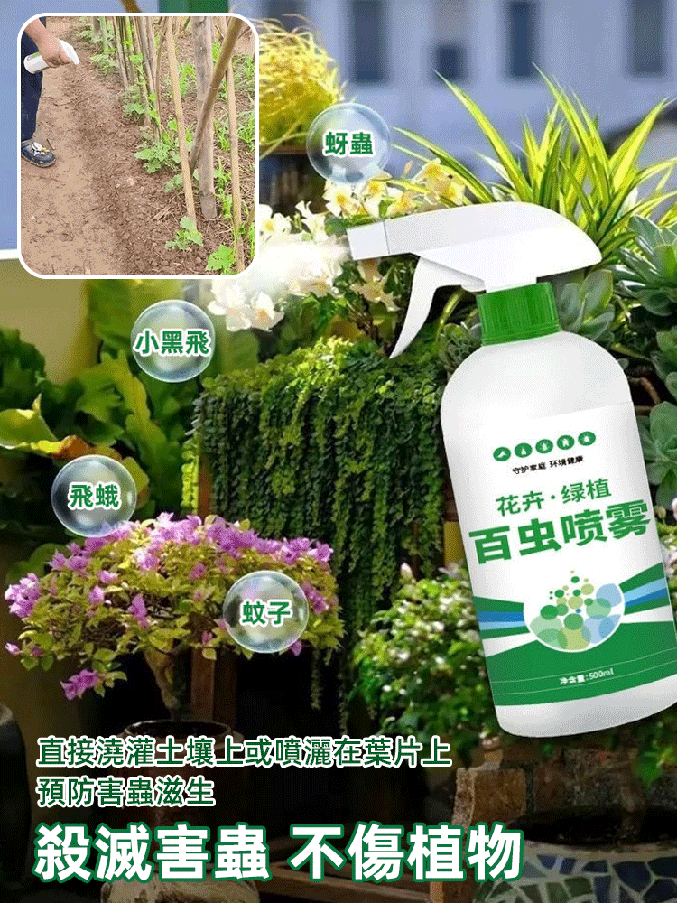 花卉綠植百蟲清噴霧