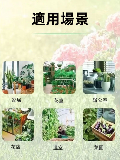 花卉綠植百蟲清噴霧