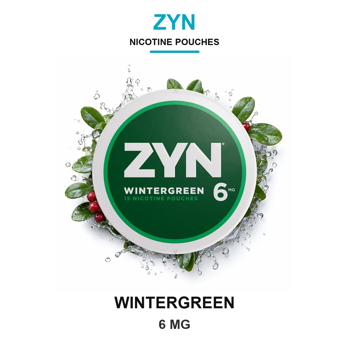 ZYN Wintergreen 6mg Nicotine Pouches