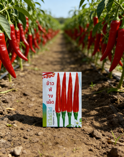 เมล็ดพันธุ์พริกต้น "ทนโรค-ดกพิเศษ": เก็บกินได้นาน ทนทานต่อโรคใบด่างและศัตรูพืช อัตรางอกสูง 99%