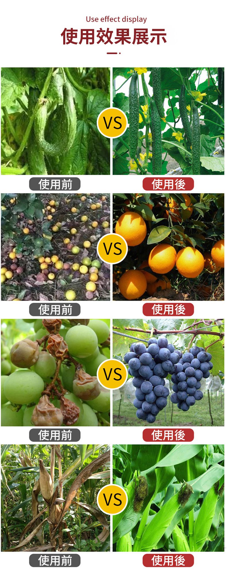 翻译件-SL-授粉座果王-1348259-系统_11.jpg