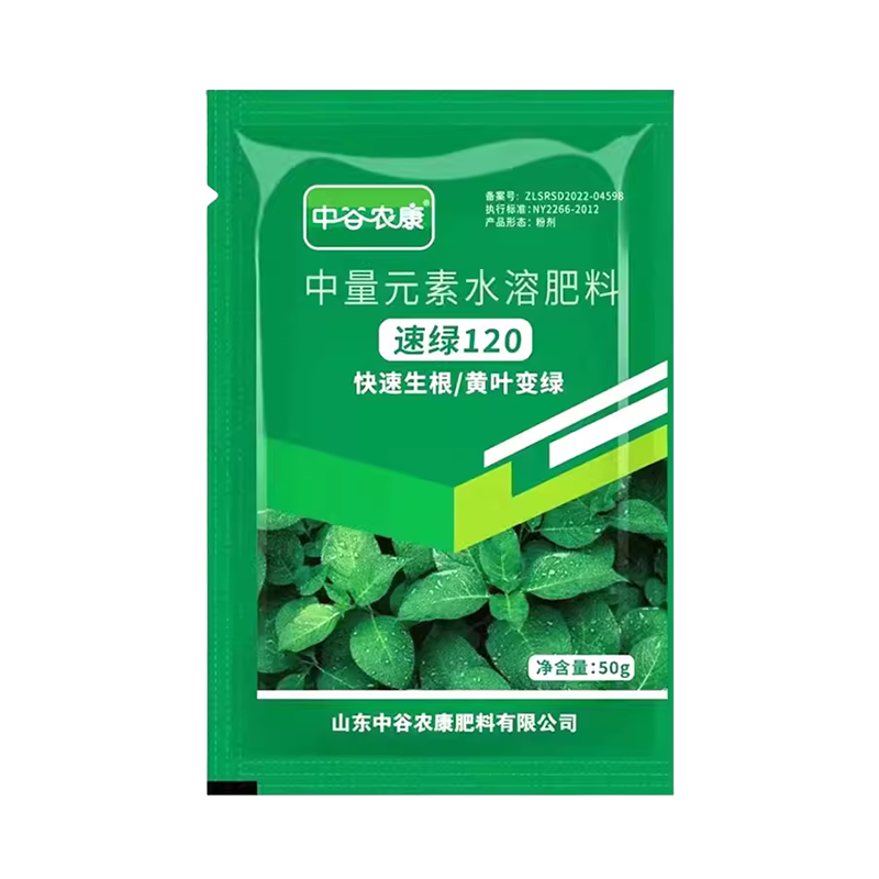 四季常青強生根壯苗肥
