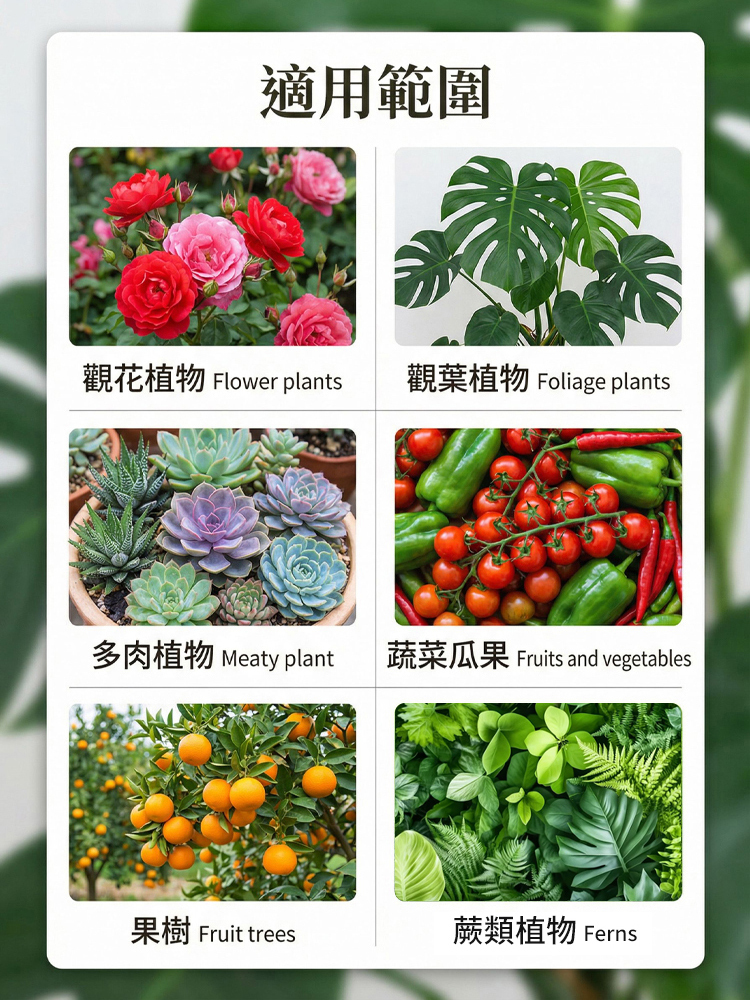 【肥效/防護二合一】懶人植保神器硼肥片