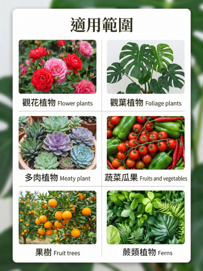 【肥效/防護二合一】懶人植保神器硼肥片