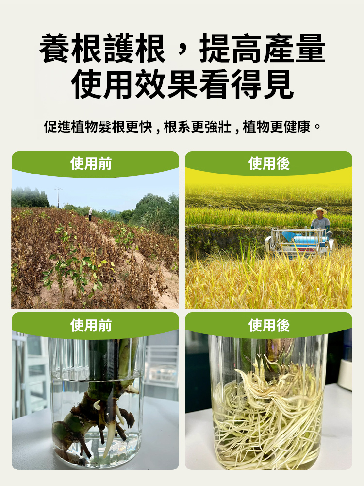 【植物起死回生】生根壯根顆粒